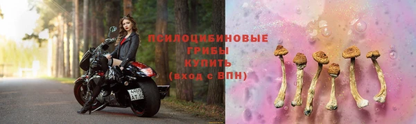 ПСИЛОЦИБИНОВЫЕ ГРИБЫ Богородск
