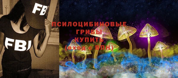 ПСИЛОЦИБИНОВЫЕ ГРИБЫ Богородск